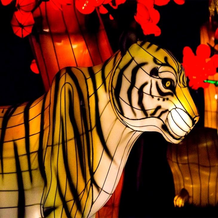 Customized Festival Tiger Animal Lantern